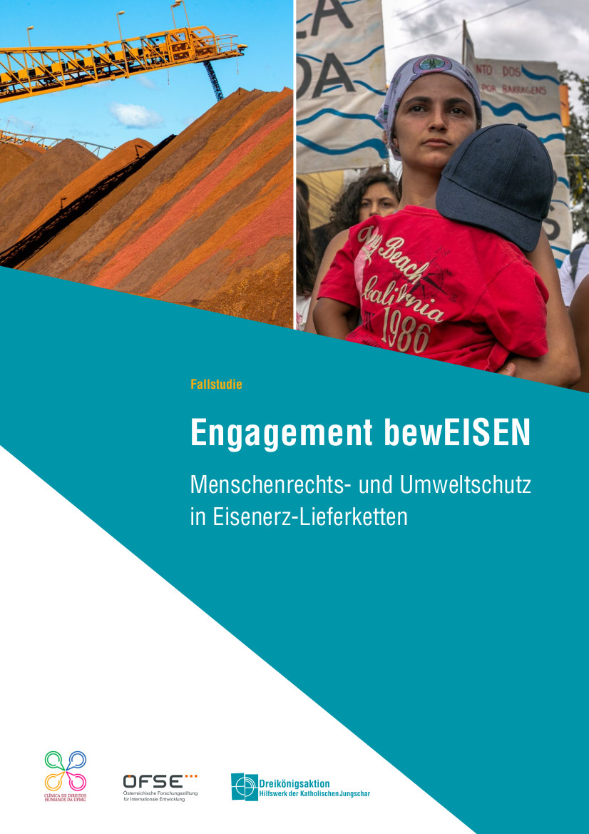 Cover: Fallstudie Eisenerz